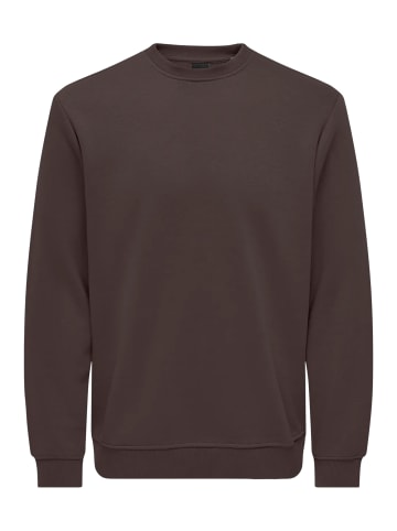 ONLY & SONS Sweatshirt Connor in Mulch