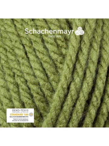 Schachenmayr since 1822 Handstrickgarne Bravo Big, 200g in Khaki