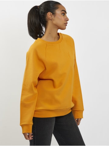 Freshlions Sweater in orange