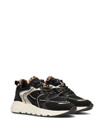 POELMAN Poelman CIBEL Damen Sneaker