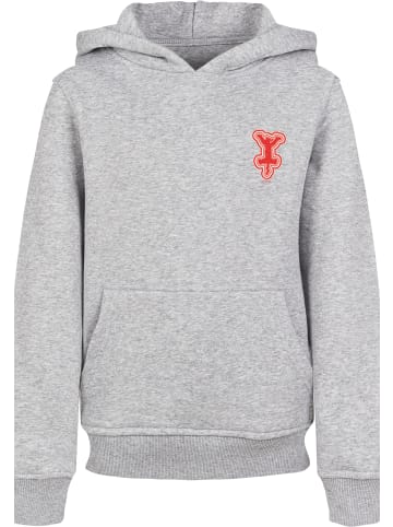 F4NT4STIC Hoodie in heather grey