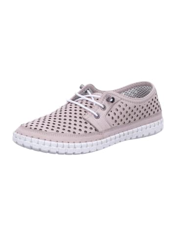 Gemini Damen- Schnürschuhe ANILINA SCHNUERSCHUH in Grau