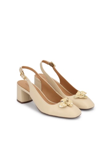 Kazar Pumps in Beige