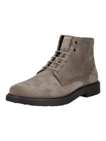 Geox Stiefelette in Taupe