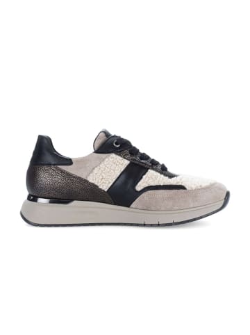 Gabor Sneaker low in multicolour