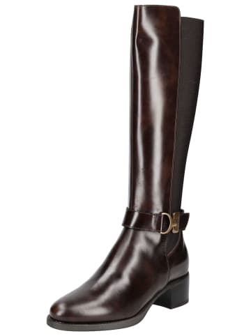 Nero Giardini Stiefel in Moro