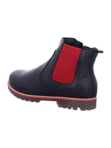 Andrea Conti Stiefeletten/Boot in schwarz