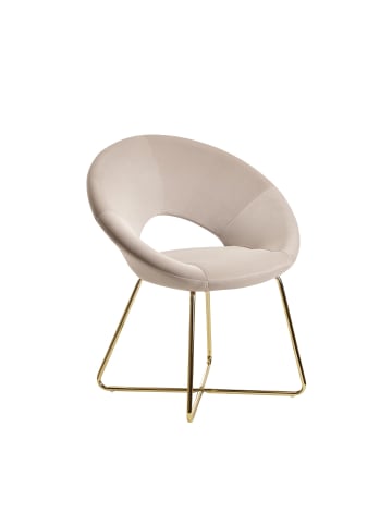 FineBuy Esszimmerstuhl in Beige / Samt / 60x57x83