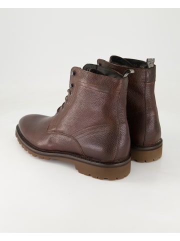 Floris van Bommel Stiefeletten in Braun