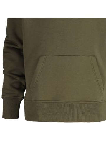 Gant Sweatshirt in Grün