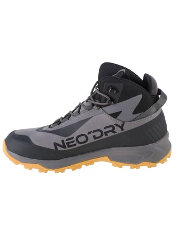 4F 4F Ice Cracker Trekking Shoes in Grau