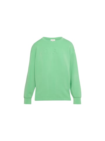 S.OLIVER RED LABEL Sweatshirt in Grün
