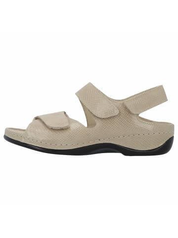 Berkemann Sandalen für Damen in beige