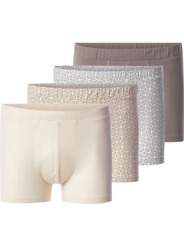 BABISTA 4er Pack Boxershorts VIRENZO in braun beige