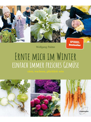 Löwenzahn Ernte mich im Winter