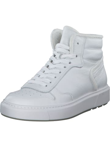 Paul Green Stiefeletten in white/white