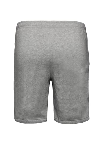 Nike Shorts Park 20 Fleece Short in dunkelgrau