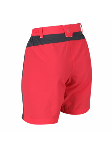 Regatta Outdoorshorts Sungari in RdSky/SealGr