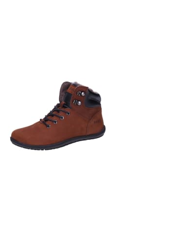 KOEL Stiefeletten/Boot in braun