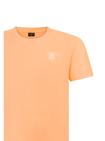 Protest " PRTKathy in Cantaloupe