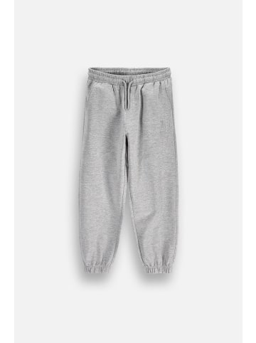 Coccodrillo Jogginghose in grau