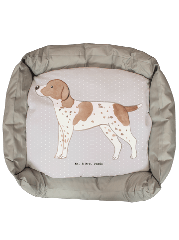Mr. & Mrs. Panda Kuschelbett Pointer Lebensretter ohne Spruch in Grau Pastell