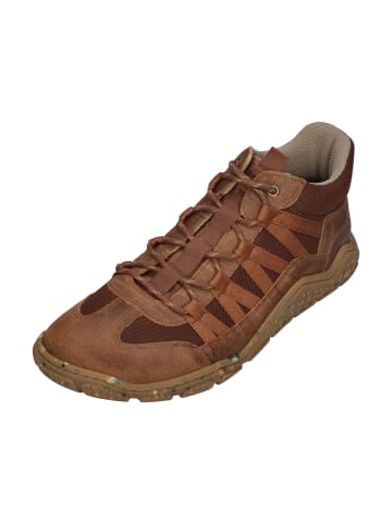 KOEL Sneaker Low Raxo in braun