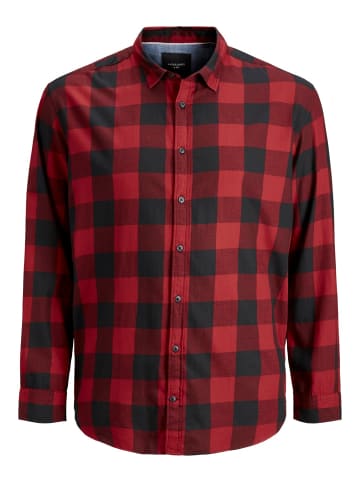 Jack & Jones Hemd JJEGINGHAM in Mehrfarbig