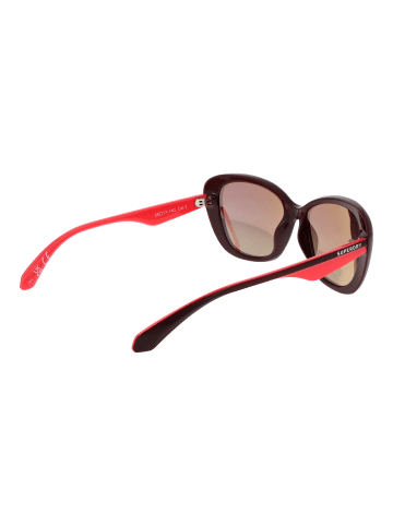Superdry Damen Sonnenbrillen Schmetterling Burgunder