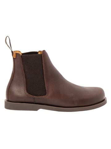 El Naturalista Stiefeletten braun