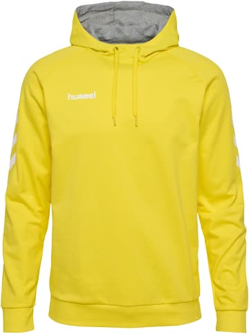 Hummel Baumwoll-Hoodie Hmlgo Cotton Hoodie in BLAZING YELLOW