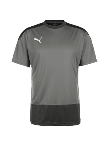 Puma Trainingsshirt TeamGOAL 23 in grau / anthrazit