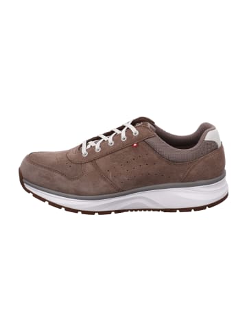 Joya Sportliche Schnürschuhe in Braun
