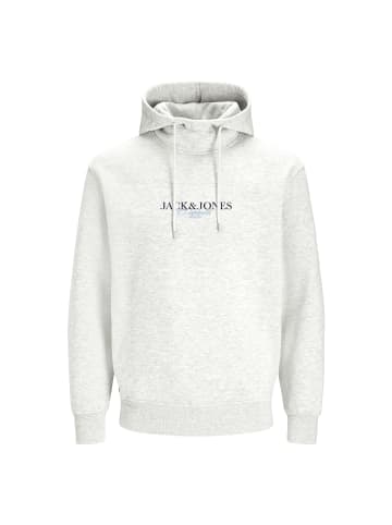 Jack and Jones Hoodie JORBILLYBURG Sweat Hood FST in Hellgrau