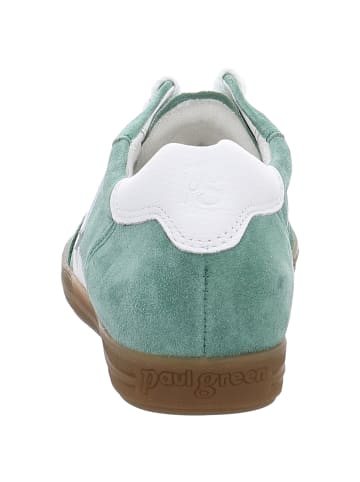 Paul Green Schnürschuhe in wasabi/white