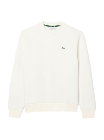 Lacoste Sweatshirt in weiss