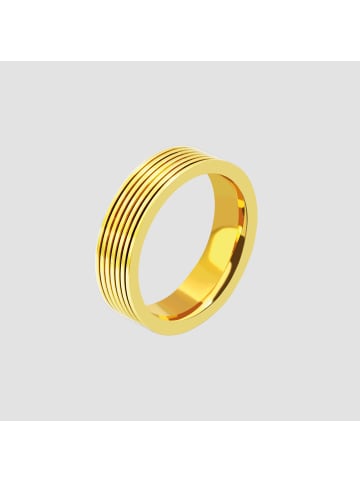 Adeliás Herren Ring aus Edelstahl in gold