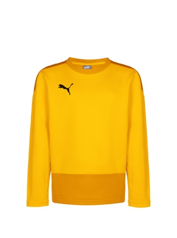 Puma Sweatshirt TeamGOAL 23 in gelb / dunkelgelb