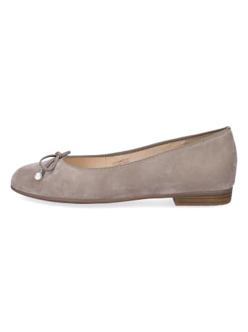 ara Ballerina in taupe Samt