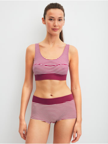 Calida Panty in dahlia pink