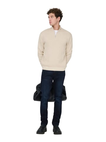Only&Sons Pullover ONSTING REG HALF ZIP KNIT in Beige