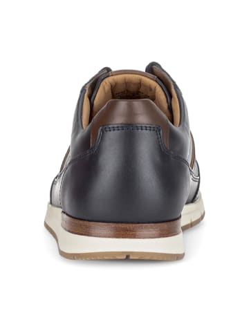 Pius Gabor Sportliche Schnürschuhe in Blau