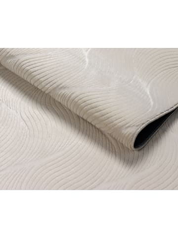 the carpet Kurzflorteppich Rio C in Creme