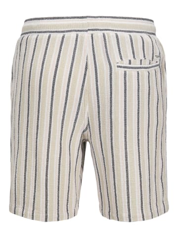 JACK & JONES PLUS Relaxed Fit Shorts in Celadon Tint