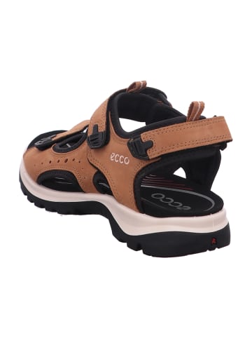 Ecco Trekkingsandalen in Braun