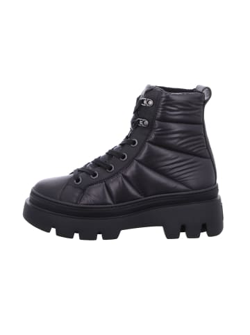 Paul Green Schnürschuh in schwarz