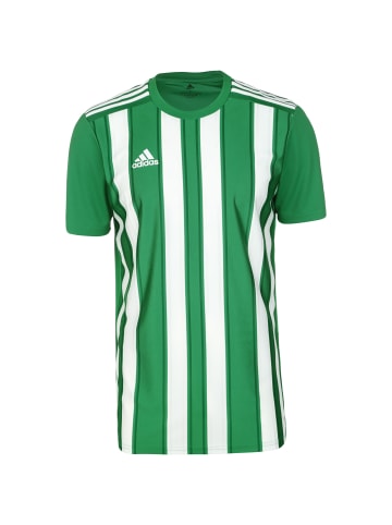 adidas Performance Fußballtrikot Striped 21 in grün / weiß