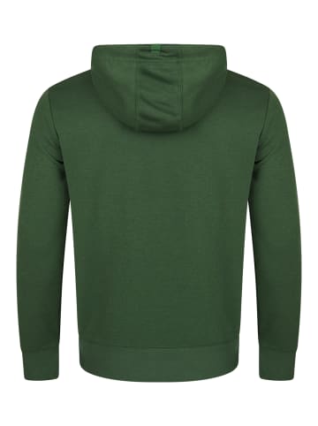 riverso  Sweatshirt RIVTheo in Grün