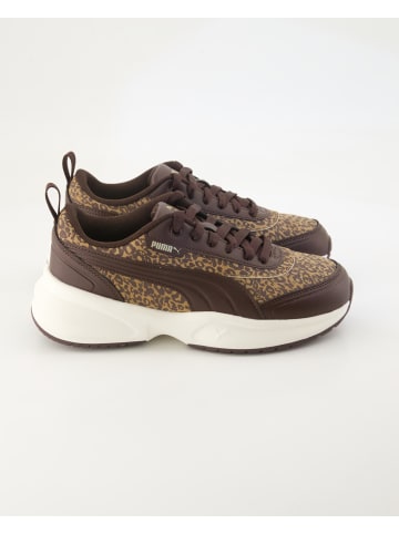 Puma Sneaker low in Braun