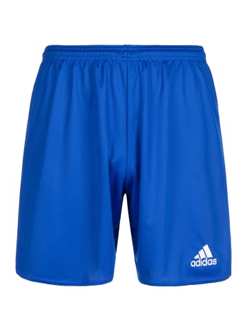 adidas Performance Trainingsshorts Parma 16 in blau / weiß